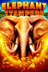 Elephant Stampede Slot